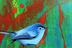 Blue Gray Tanager, 2022, acrylic on canvas, 20 x 20 cm