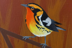 Blackburnian Warbler, 2023, acrylic on canvas, 18 x 24 cm