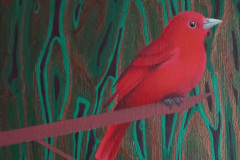 Summer Tanager, 2024, acrylic on canvas, 18 x 24 cm