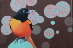 Baltimore Oriole, 2020, acrylic on canvas, 20 x 24.5 cm