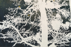 Mistletoe, 2020, acrylic on canvas, 63 x 92 cm