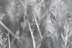Field Sample 25, acrylic on paper, 50 x 70 cm