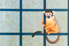 Monkey See, Monkey Do, collected