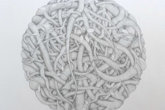 Untitled, 2014, graphite on paper, 50 x 50 cm
