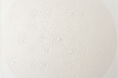 Chrysalis 1, 2015, flowers and acrylic on canvas, 50 x 50 cm