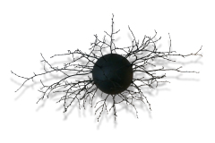 Seeding, 2008, photography