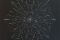 Fire Flower, 2010, pastel on paper, 70 x 100 cm