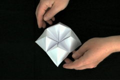 Fortune Flower, 2010, video, 3"