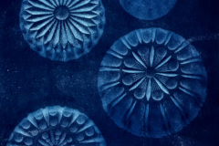Cyanotype on paper, 2022, 30 x 40 cm