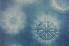 Cyanotype on paper, 2022, 30 x 40 cm